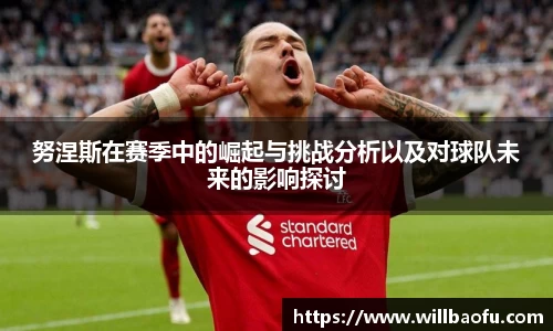 努涅斯在赛季中的崛起与挑战分析以及对球队未来的影响探讨